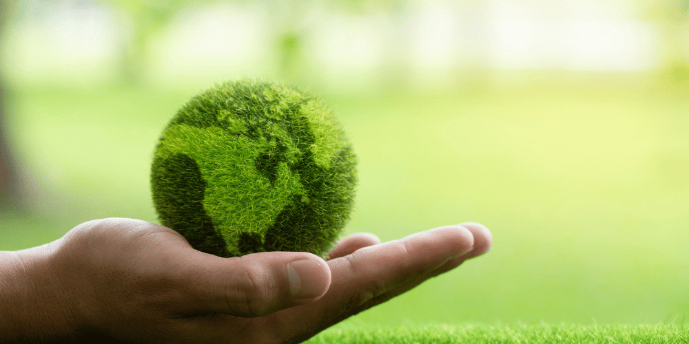 Cosmética Sostenible España 2026: Marcas Imprescindibles y Tendencias